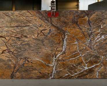 Rainforest brown
